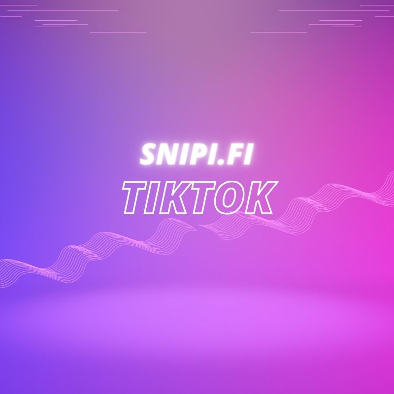 tiktok seuraajat - snipi